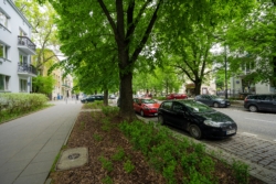 Piękna ulica Francuska – zielona i bezpieczna