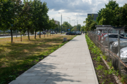 Remont chodnika i stojaki rowerowe wzdłuż Radiowej w rejonie Szadkowskiego