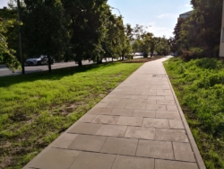 Usprawnienie ruchu pieszego na Rakowcu, nasadzenia zieleni