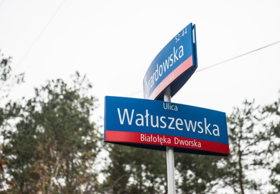 Skrzyżowanie ul. Żyrardowskiej i Wałuszewskiej.