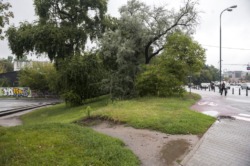 Rowerowe Powązki - budowa łącznika pomiędzy Rondem Radosława a ul. Młocińską wraz z nasadzeniami zieleni.