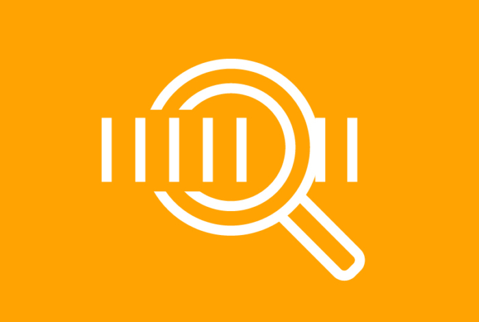 Audyt bezpieczeństwa przejść dla pieszych