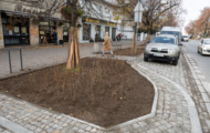 Francuska coraz bardziej ozdobiona roślinami