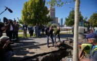 Nowe Centrum Warszawy – 118 dużych drzew do końca roku