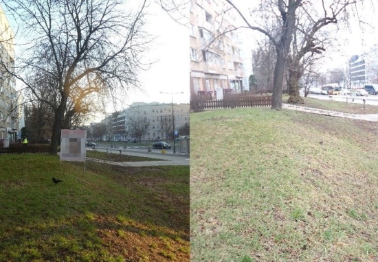 Na lewym zdjęciu trawnik z nielegalną reklamą, po prawej stronie trawnik bez reklamy.