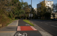 Droga dla rowerów wzdłuż ul. Wołoskiej – Boboli
