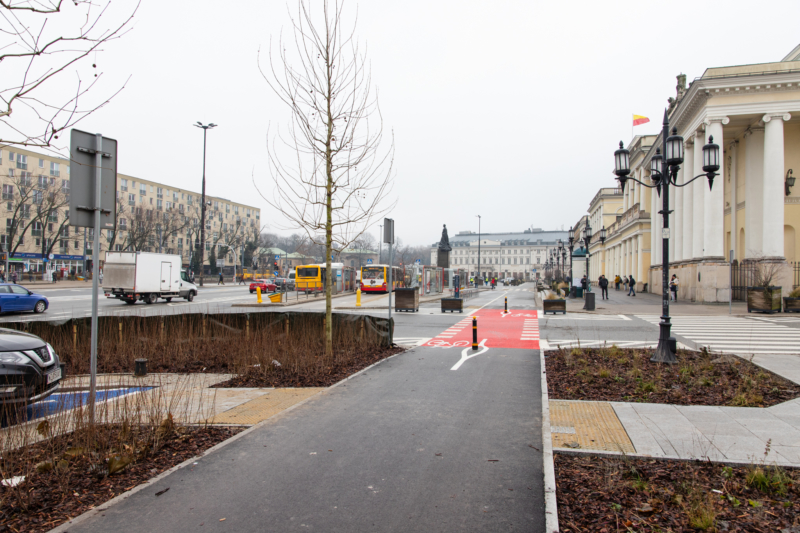 na pierwszym planie asfaltowa droga dla rowerów, po lewej stronie dwa platany, w tle ciąg dalszy drogi rowerowej biegnącej wdłuż budynku ratusza i wydzielonej z jezdni