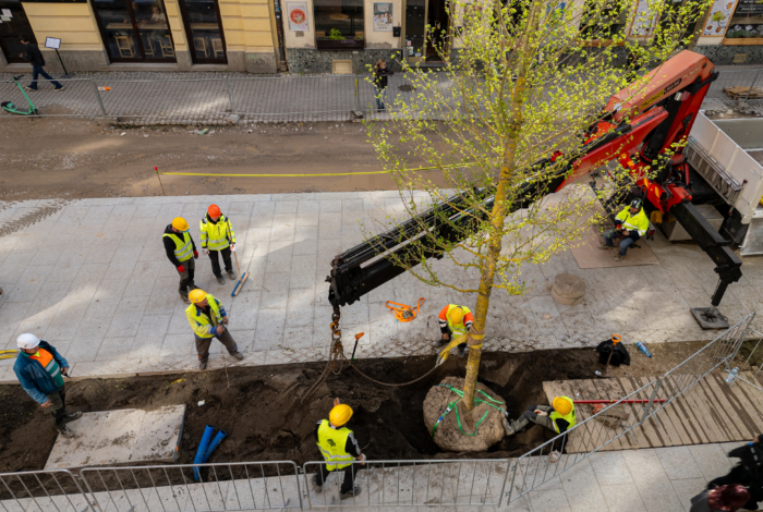 Centrum miasta się nagrzewa, my działamy z chłodną głową