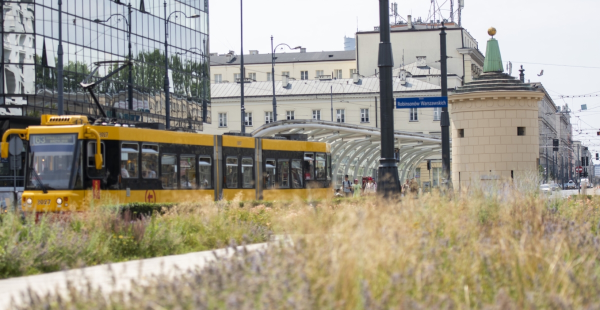 „Gruba Kaśka” znowu błyszczy
