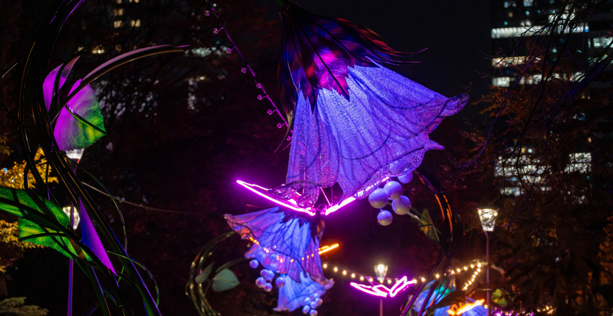 Park Świętokrzyski niczym Tajemniczy Ogród – już jutro premiera całorocznej iluminacji