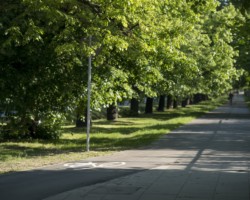 Ścieżka rowerowa obok chodnika na Żwirki i Wigury.