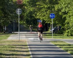Rowerzysta jadący ścieżką rowerową na ulicy Żwirki i Wigury.