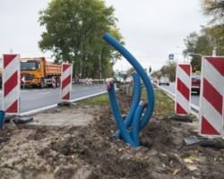 Wystające z ziemi okablowanie nowej sygnalizacji świetlnej.