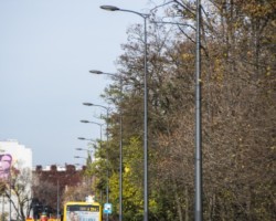 Rząd nowych słupów wzdłuż ulicy Zielenieckiej.