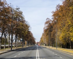 2 rzędy nowych słupów oświetleniowych wzdłuż ulicy Zielenieckiej.