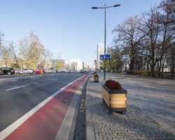 Donice stojące wzdłuż pasa rowerowego na ul. Świętokrzyskiej.