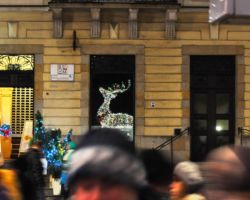 Świąteczna dekoracja na Krakowskim Przedmieściu.