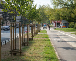 Zakończyła się budowa trasy rowerowej w ciągu ulic Mińska-Stanisławowska-Dwernickiego-Szaserów.