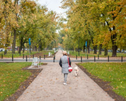 Kobieta spacerująca z psem.