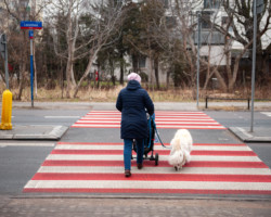 Przejście dla pieszych przy ul. Narwik.