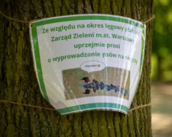 Nietypowe oznakowanie informujące o nurogęsiach.