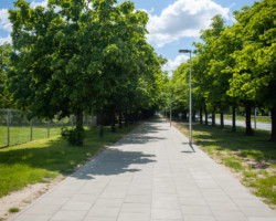 Wyremontowany chodnik przy ulicy Chodeckiej.