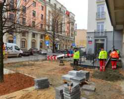 Więcej zieleni na Wybrzeżu Kościuszkowskim.