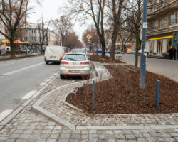 Nasadzona zieleń przy ul. Francuskiej.