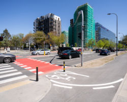 Droga dla rowerów na ulicy Domaniewskiej.