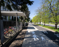 Droga dla rowerów i chodnik na ulicy Domaniewskiej.