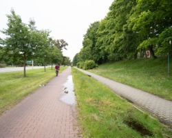 Na ul. Racławickiej między ulicami Żwirki i Wigury a Miłobędzką wyremontujemy chodnik i drogę dla rowerów.