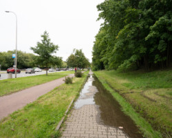 Na ul. Racławickiej między ulicami Żwirki i Wigury a Miłobędzką wyremontujemy chodnik i drogę dla rowerów.