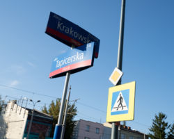 Przejście dla pieszych przez al. Krakowską przy ul. Tapicerskiej.