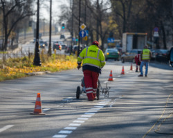 Pasy rowerowe i miejsca parkingowe przy ul. Mickiewicza.