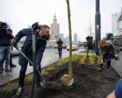 Sadzenie drzew na rondzie Dmowskiego zainaugurowały władze Warszawy z prezydentem Rafałem Trzaskowskim na czele.