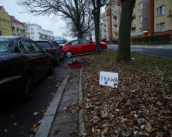 Parkowanie na ulicy Słowackiego przed zmianami.