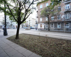 „Lifting” ul. Stalowej polegał na posadzeniu w miejscu zbędnego betonu 34 drzew i tysięcy krzewów oraz bylin.