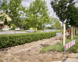 Remont drogi dla rowerów, ul. Żołnierzy Wyklętych.