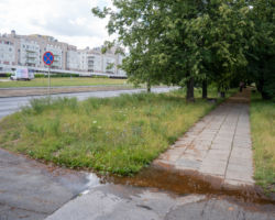 Chodnik przy ul. Płaskowickiej przed modernizacją.