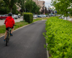 Rowerzysta na drodze rowerowej, ul. Żołnierzy Wyklętych.