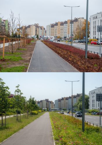 Ulica Stryjeńskich przed i po rozwinięciu się zieleni.