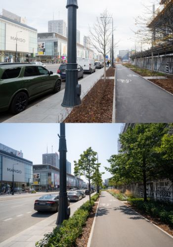 Ulica Marszałkowska przed i po rozwinięciu się zieleni.