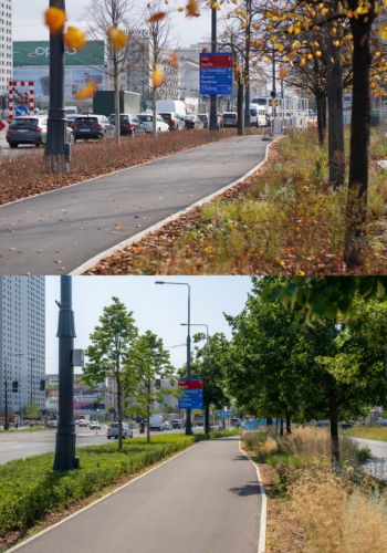 Ulica Marszałkowska przed i po rozwinięciu się zieleni.