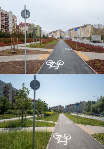 Ulica Stryjeńskich przed i po rozwinięciu się zieleni.