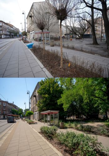 Ulica Stalowa przed i po rozwinięciu się zieleni.