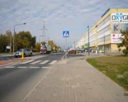 Azyl na przejściu dla pieszych, ul. Gierdziejewskiego.