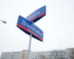 Skrzyżowanie ulicy Żbikowianka i alei Reymonta.
