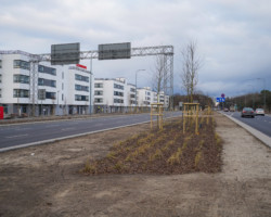 Na zdjęciu widać ulice, nowe nasadzenia i budynki