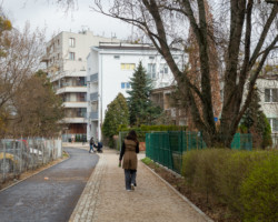 Osoba spacerująca chodnikiem.