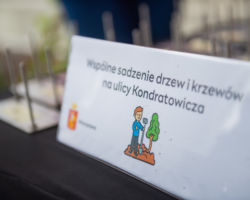 Tabliczka informująca o wspólnym sadzeniu drzew i krzewów na ul. Kondratowicza